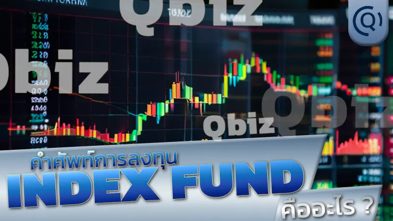 Index Fund